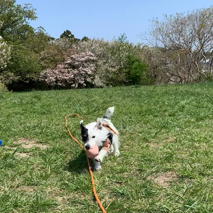 26c6dcb4 bab5 413f afb1 386d7a4c5083 1713058342776