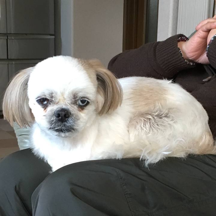 26c6eec3 33ed 4969 b02b db23f05335f1 1543015684882