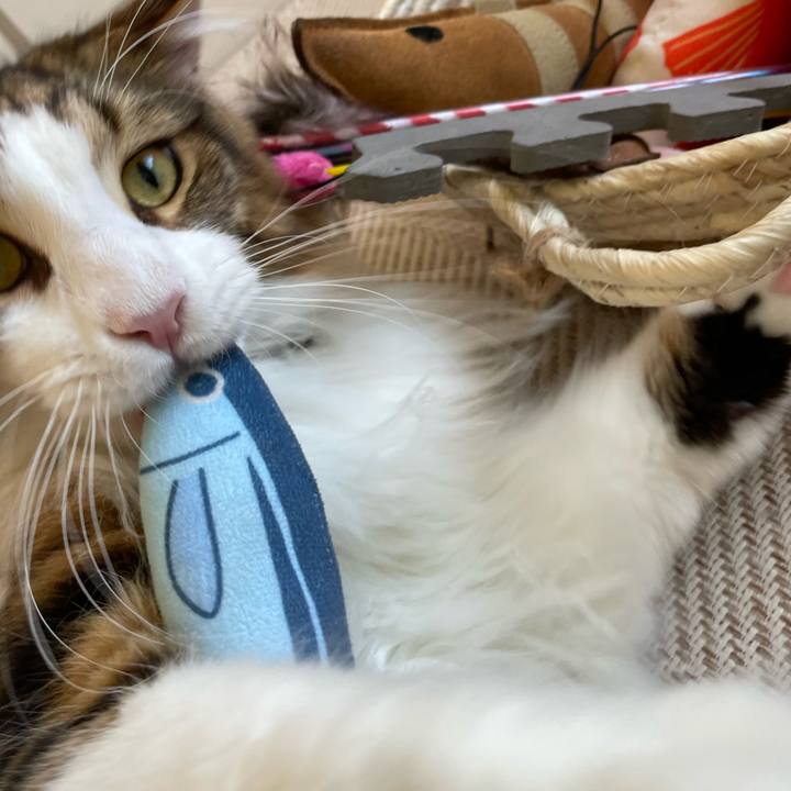 26c70ef7 482d 4b0a 8967 e32a97a79870 1653858488815