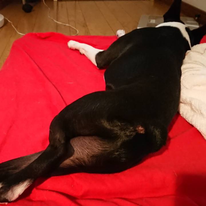 26c71aed 18ad 49f0 a94a c15efebaa350 1530973919194