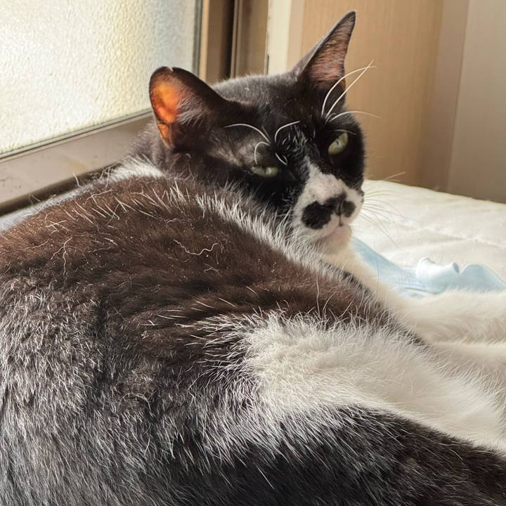 26c71f0e dfd4 4068 a06c 544ad4eb0ef0 1754008772059