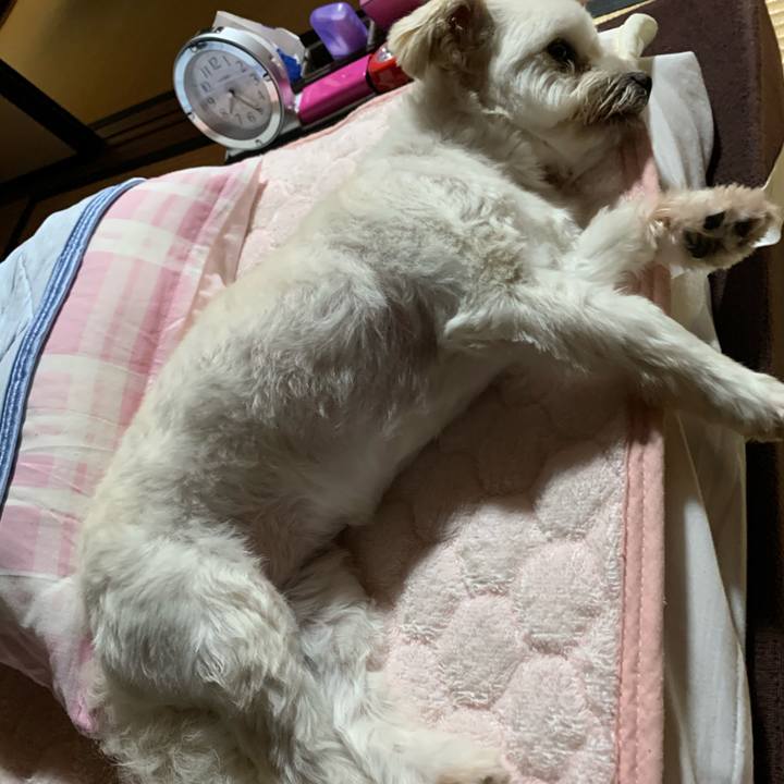 26c758e3 61fa 46f4 9345 0e3eaff6b76a 1592908832728