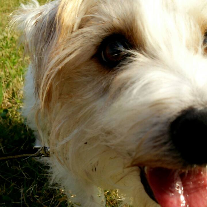 26c75f83 c1d0 40ec bc2b 617098ecfcea 1509860609837