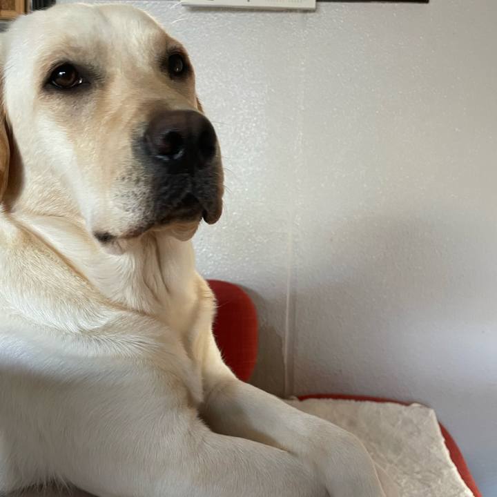 26c76570 0e13 43e6 9f2b 37aa2efc4d61 1653795899916