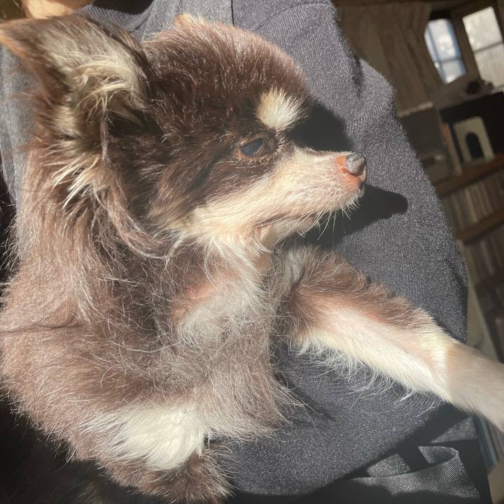 26c7870c a628 42bf bbe3 bad8edf21943 1735351144907