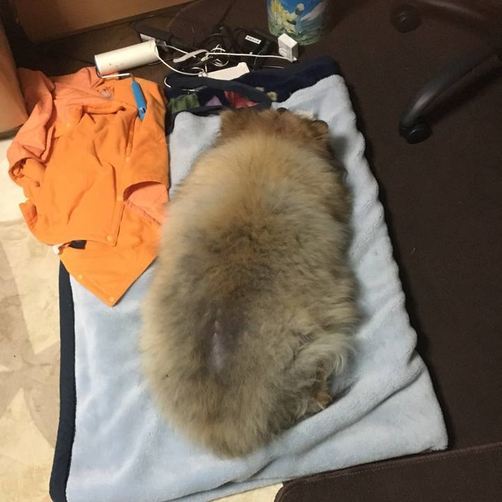 26c7acd9 5918 4b28 baa6 e0c5b518b561 1598187673588