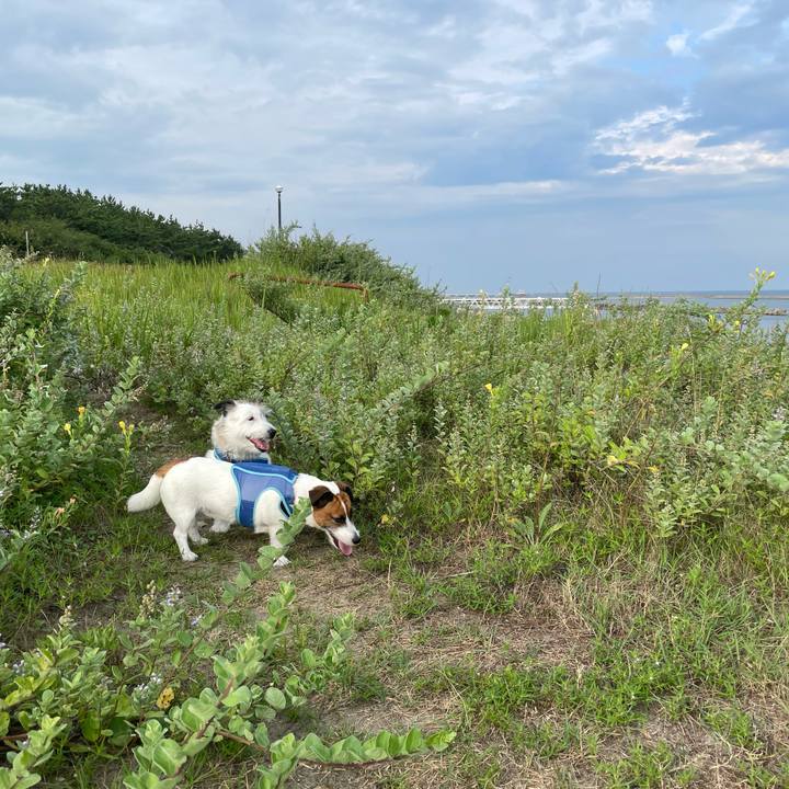 26c818b6 21d6 4442 8be9 007cb5396d1e 1756162556099