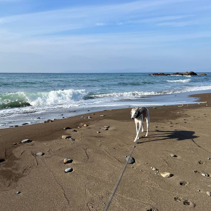 26c853d0 9d3b 4788 82d2 7a68972ef1b4 1762762504558