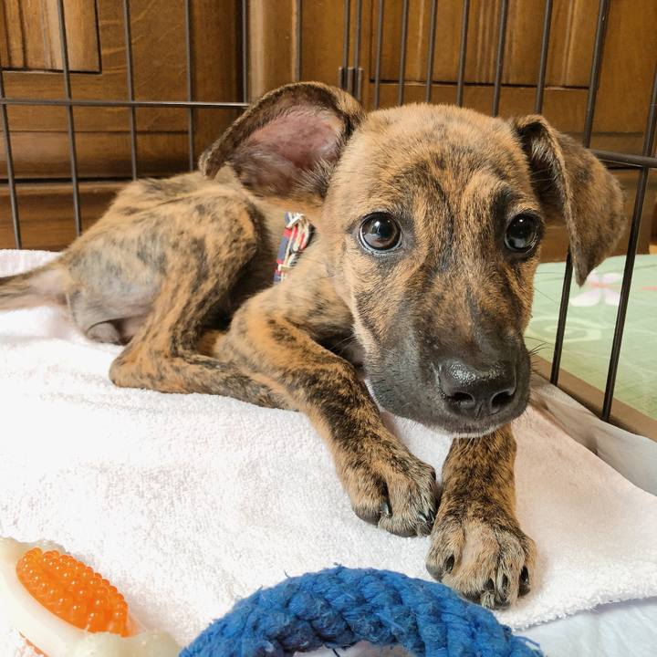 26c881b8 df44 4a11 977b 1a942eea8699 1567562420722