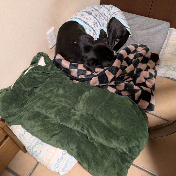 26c8a587 0dd2 4877 a9d3 ea4b4bfde7ed 1739829678587