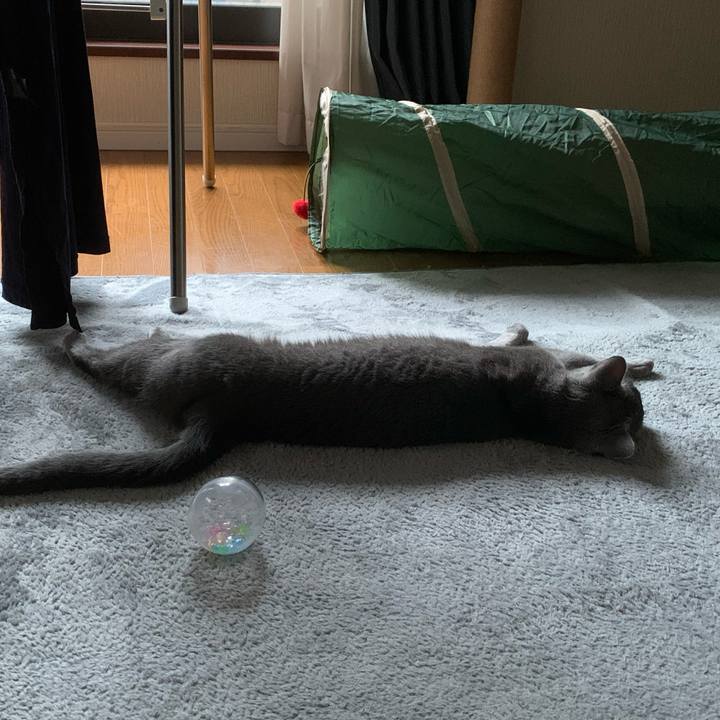 26c8a9a1 d460 45cf 8024 c60495aca713 1628818133678