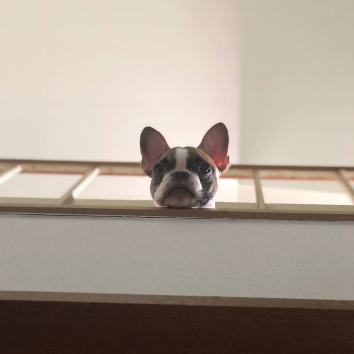 26c8f8f9 052b 48b9 8bdd 0147513b81b8 1567857009759