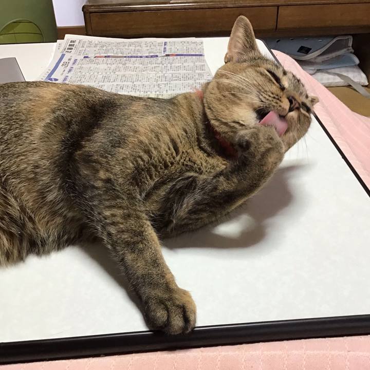 26c90110 66d4 424c 9d22 de7b47391e15 1643413490918