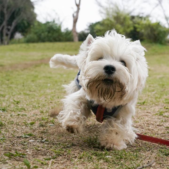 26c90662 dc29 4694 b5d3 1b56fbceb7d5 1522759317757