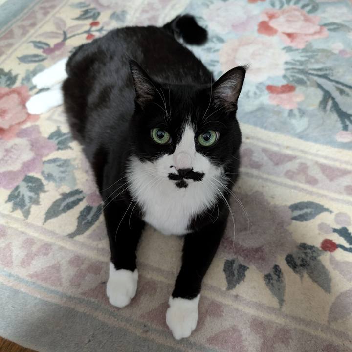 26c92093 aa79 487f 8c5c dc4952e88f7a 1766533954712