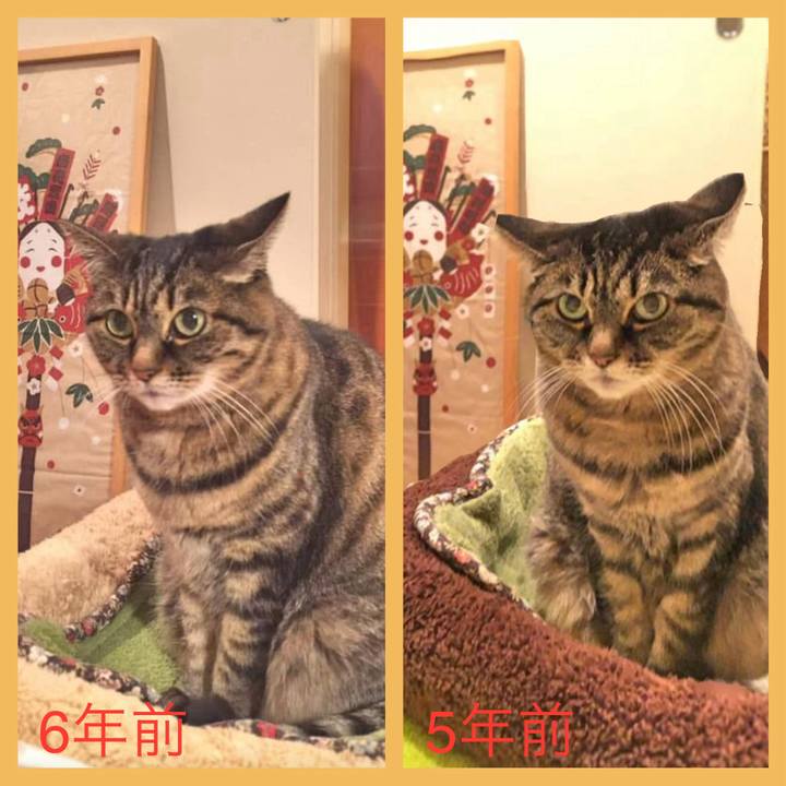 26c94cbf 674c 450c 817c e13893da5a2d 1767502353339