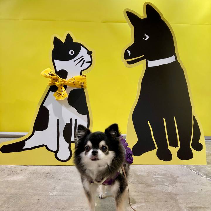 26c95849 e487 4830 abed e4e97f3a42a2 1761210758601