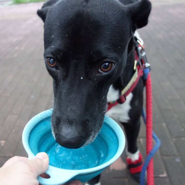 26c97337 7ca8 46e9 9d72 fd3b96ea5124 1624789840581