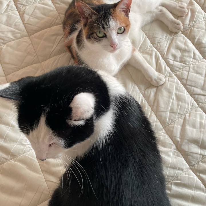 26c98033 0bc1 4295 aa5e 579a23e493f2 1638075507903