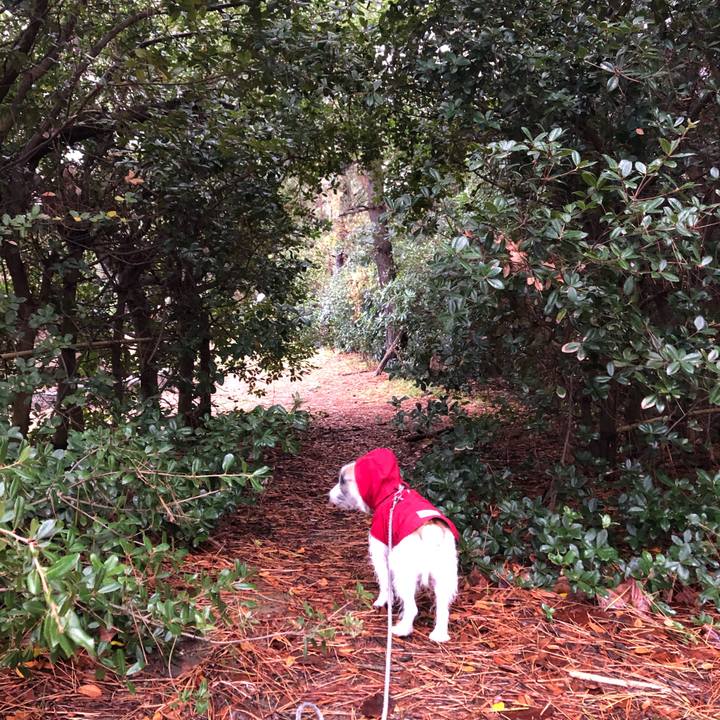 26c986b2 ab41 4334 af3e e7579537a9c9 1607988666515