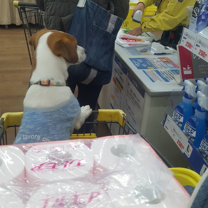 26c99af4 3b9f 4000 b743 7de3ebdb24e8 1585285499731