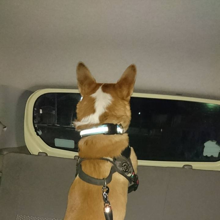 26c9d6df 3540 47ee ac8f 6c67cd97f40c 1642659993572