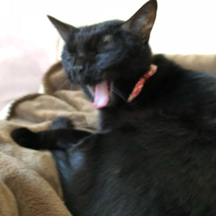 26c9ef24 89b6 4442 9e23 62b79aeb0d54 1521932309860