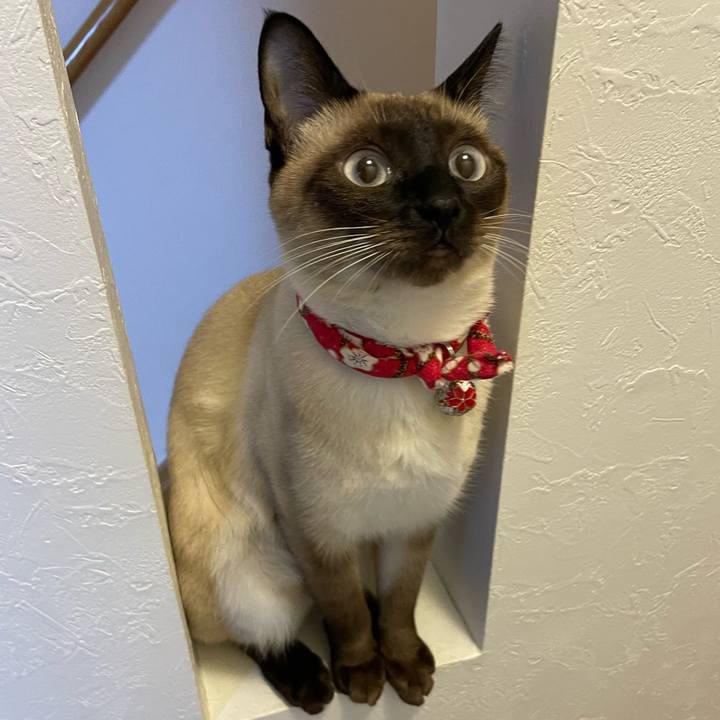 26ca04d0 19d1 495c 9cad 5dfba5a2dbea 1710444304042