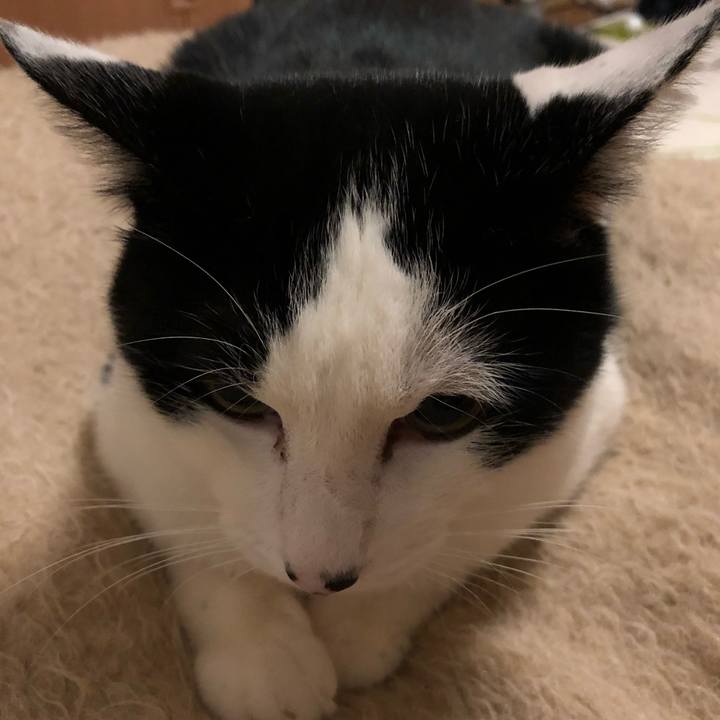 26ca1bd0 fc58 4d9b b081 ef29a1d10144 1549052030046