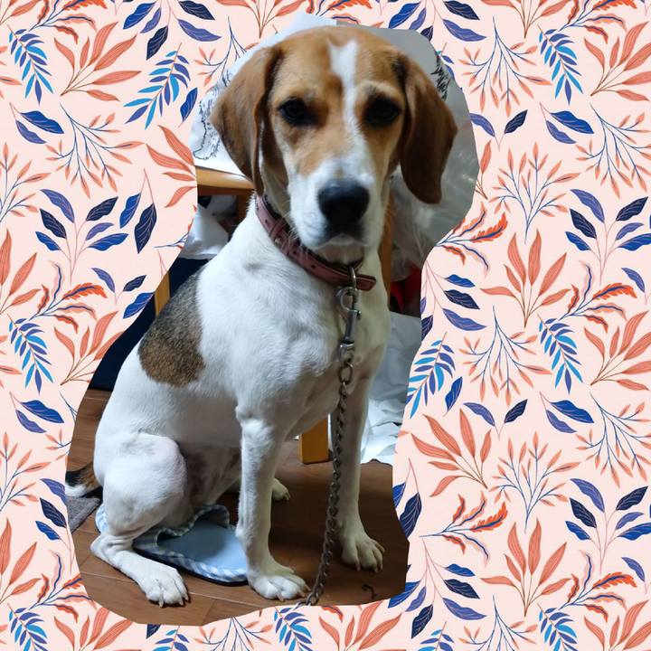 26ca3242 24fc 4890 ab96 96fb205de0c7 1601450873805