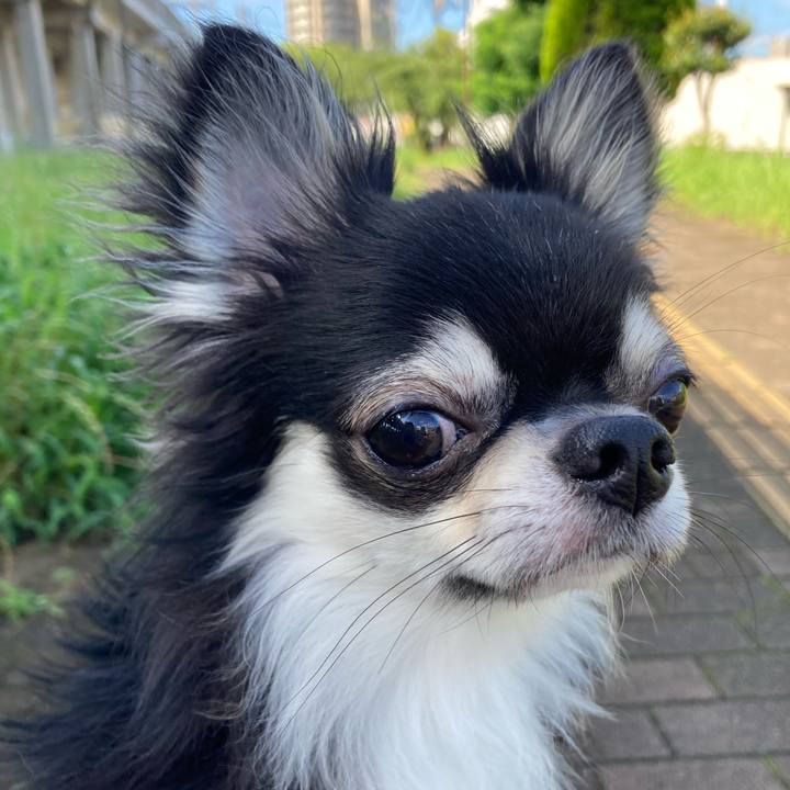 26ca33fa 9e44 49c6 9fb5 19ae171e2be5 1625891998343