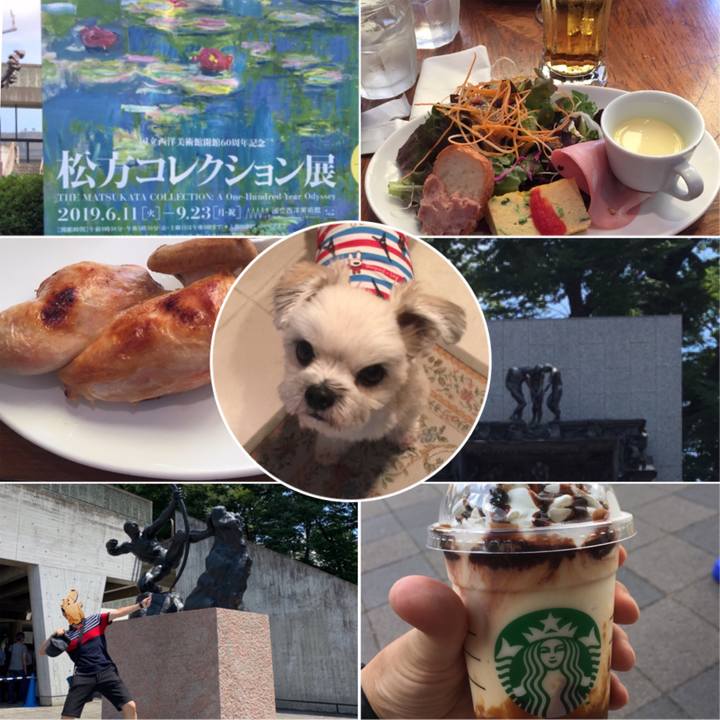 26cad5bb 1055 4f45 9d65 10236b0d9ba2 1565523162027