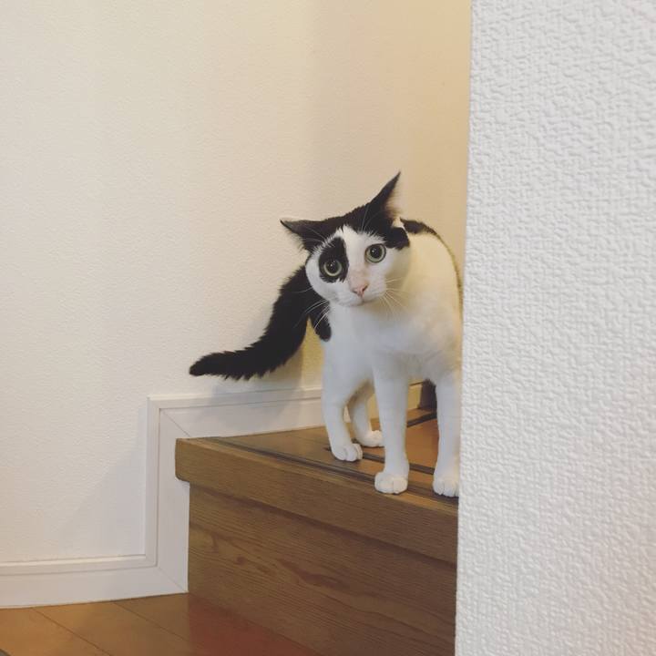 26caf7c1 99db 452c 812d c70dbc949c8b 1532767462252