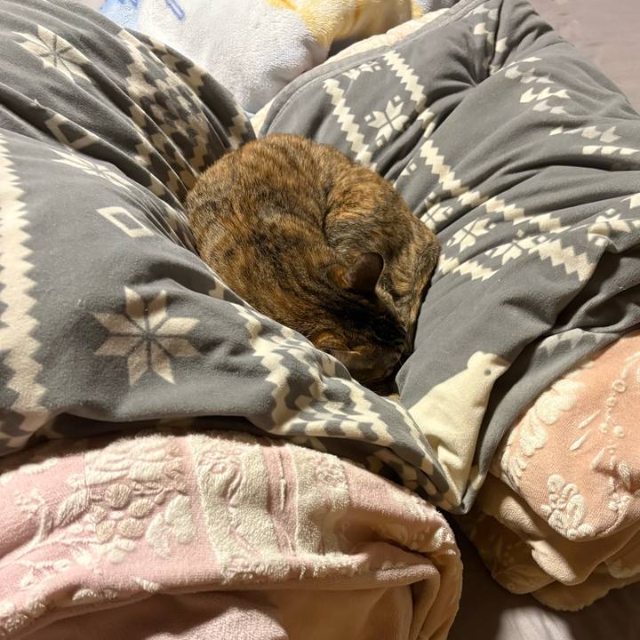 26cb1ae2 0d49 40ac b8a6 c30e5f31280b 1761354561273