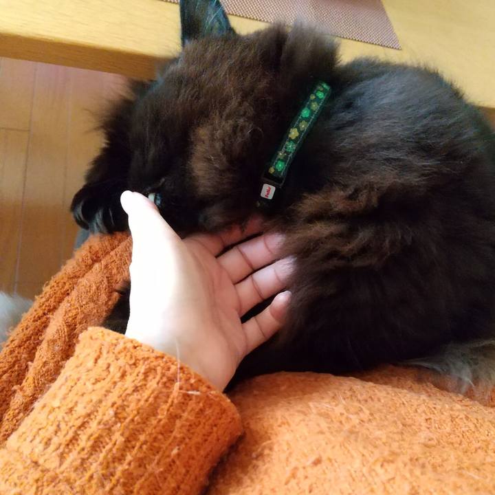 26cb5954 85d7 432a abff 1ab4af64912b 1611185088334