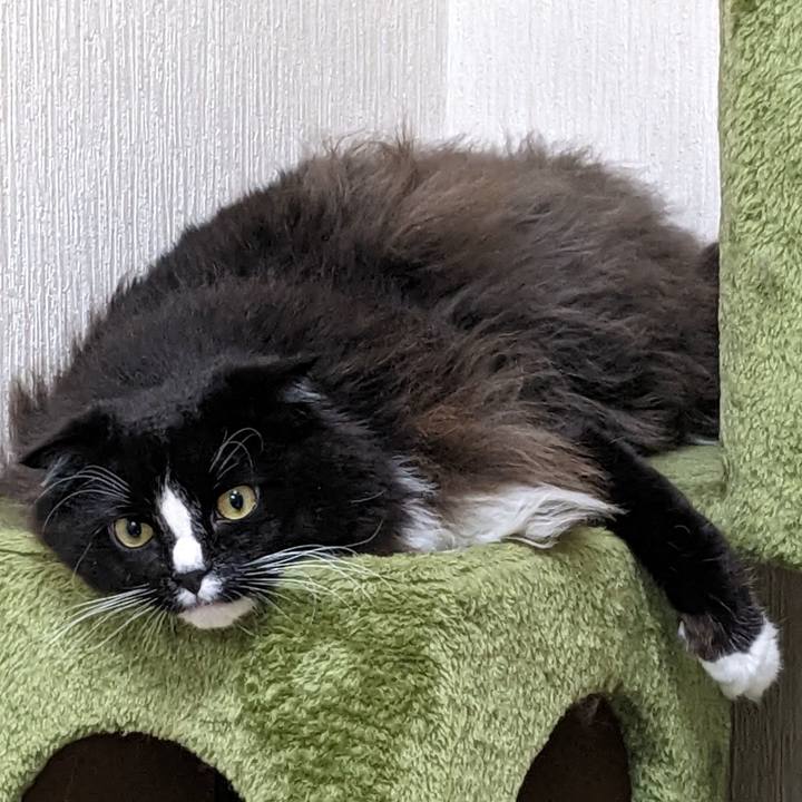 26cb5ef6 2cff 4873 b2d2 7b75da9e0d48 1668999802362