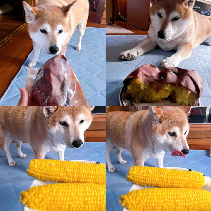 26cb90f6 4921 4fdd 9db9 a89c0acc28e2 1721979407571