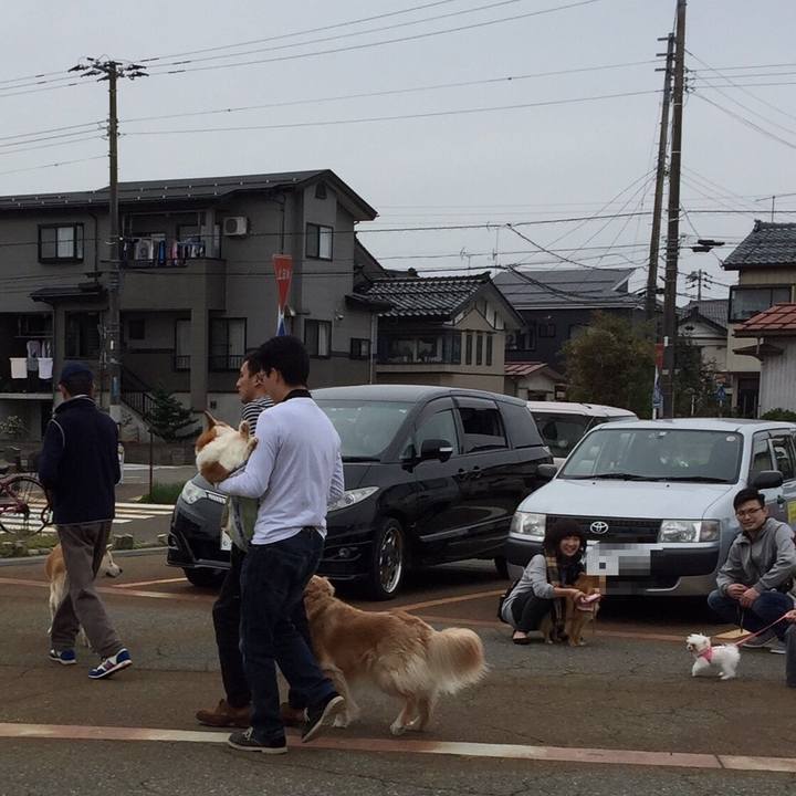 26cbe613 58b6 4a76 8e4d 08f5722f2f8c 1523941662877