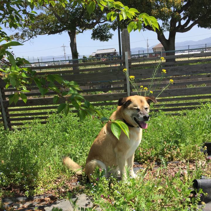 26cc3e96 c340 4b06 9aa8 42fc8f533d40 1524131545650