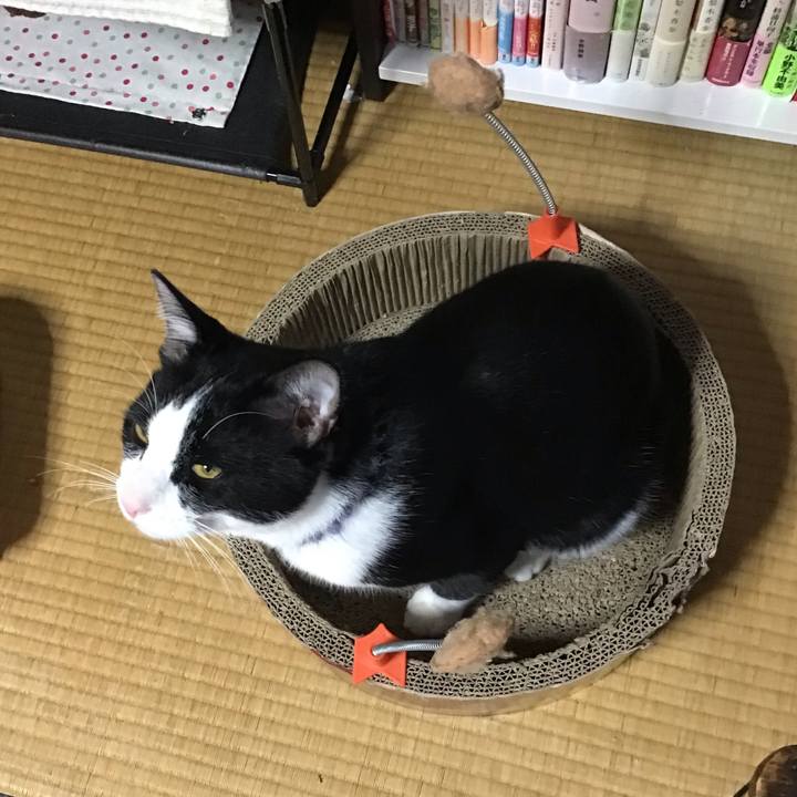 26cca3bc e80e 483b 9fed a1edc1ae89eb 1641888785965