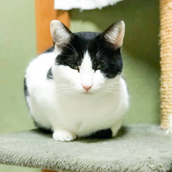 26ccc23c b7ee 406b 9547 1abb7c909448 1514549495046