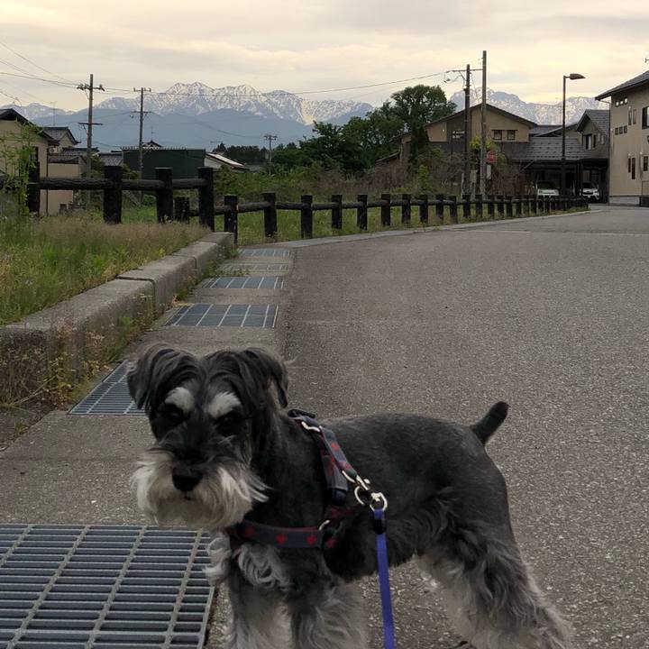 26cccaf8 c355 45c8 8e81 8b3ce57c04c4 1683289505600