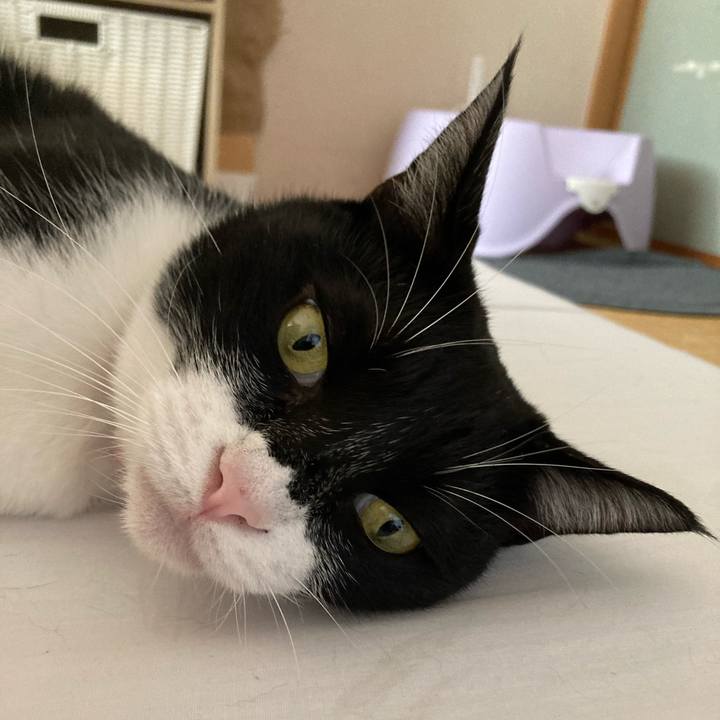 26cccce4 cb61 42fa 85eb 7dc8abeaa43f 1662630858971