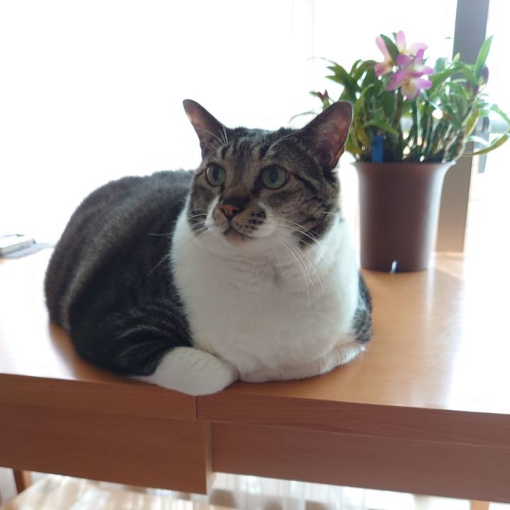 26cce227 d98f 46d1 9e04 a72de9f231d7 1592174821705