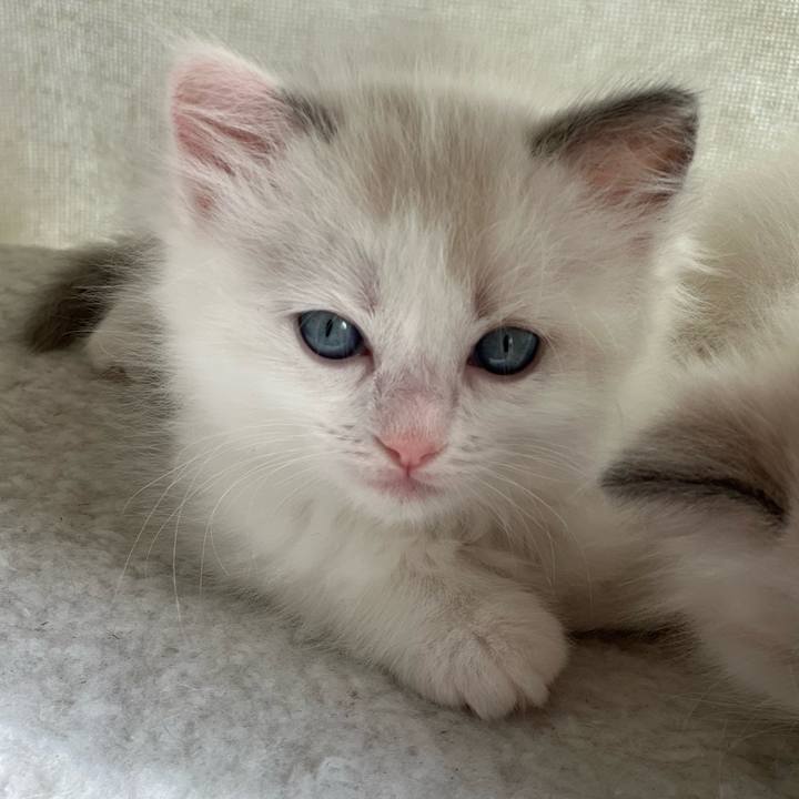 26cce745 f061 4281 bc57 b33144e4ebac 1680133442978