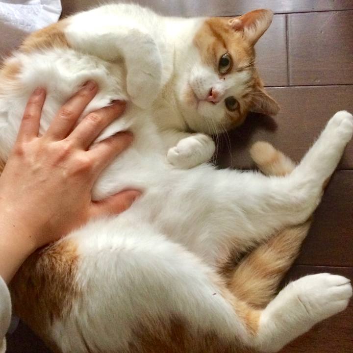 26cd50d8 a58d 41ba 95e0 2c1b2cc9417c 1569761621058