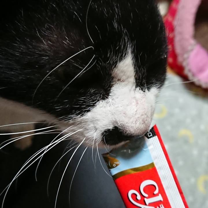 26cd5c06 a461 451f 9626 ecf3daabaf0d 1550136389270