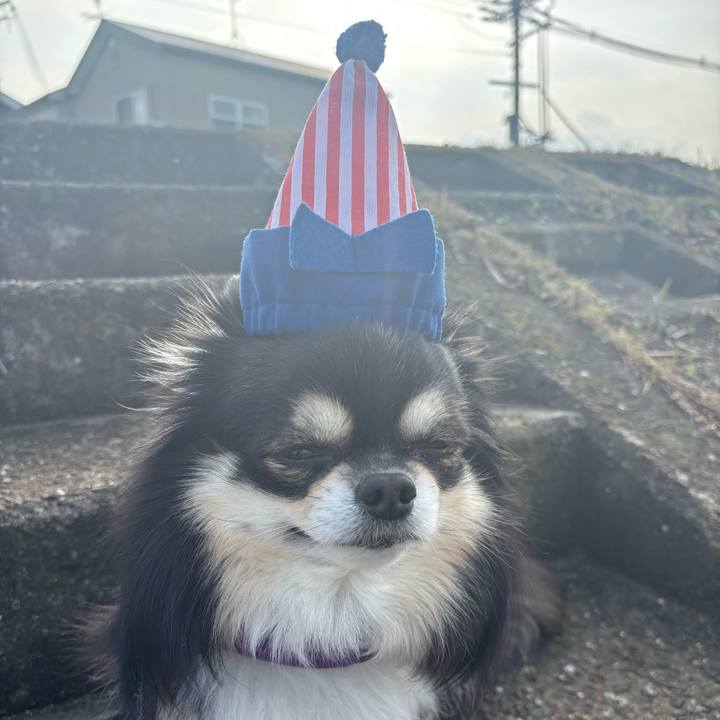 26cd6bd7 d3b2 4024 aae2 76fc7d394322 1767057480593