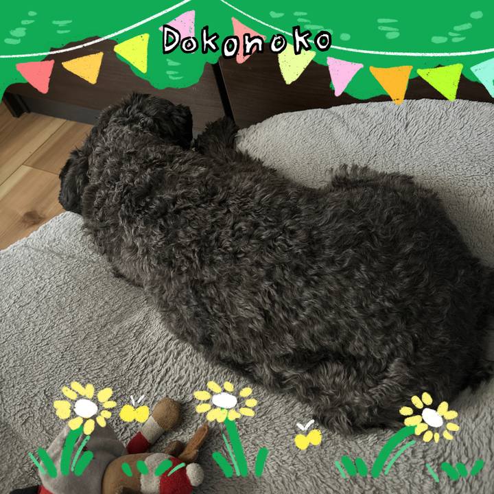 26cd77f4 9e0c 4910 8c51 88e853cb60c3 1711504528373