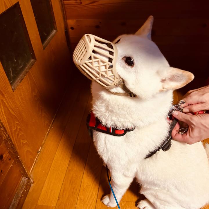 26cd81ae c606 48bd 8855 6f5220172681 1703047715792